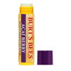 Picture of Burt's Bees 100% Natural Moisturizing Lip Balm, Acai Berry with Beeswax & Fruit Extracts - 12 Tubes