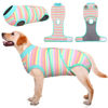 Picture of Kuoser Recovery Suit for Dogs Cats After Surgery, Professional Pet Recovery Shirt Dog Abdominal Wounds Bandages, Substitute E-Collar & Cone,Prevent Licking Dog Onesies Pet Surgery Recovery Suit