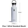 Picture of Hydro Flask Standard Flex Cap Trillium 21 Oz