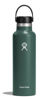 Picture of Hydro Flask Standard Flex Cap Fir 21 Oz