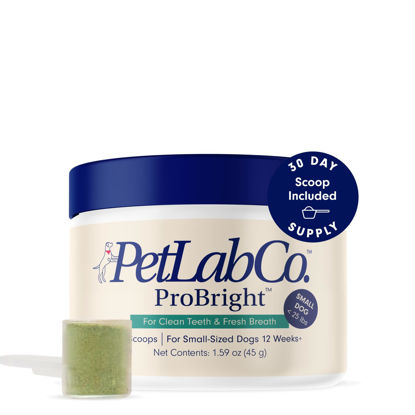 Picture of PetLab Co. ProBright Dental Powder - Dog Breath Freshener - Teeth Cleaning Made Easy - Targets Tartar & Bad Breath - Formulated for Small Dogs