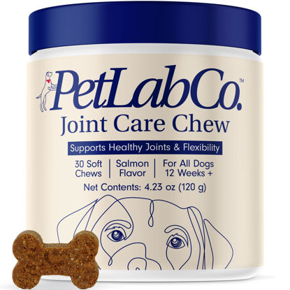 Picture of Petlab Co. Joint Care Chews - High Levels of Glucosamine for Dogs, Green Lipped Mussels, and Omega 3 - Dog Hip and Joint Supplement to Actively Support Mobility - Salmon