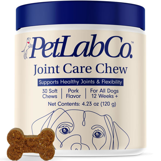 Picture of Petlab Co. Joint Care Chews for Dogs - High Levels of Glucosamine, Green Lipped Mussels, Omega 3 and Turmeric - Hip and Joint Supplement for Dogs to Actively Support Mobility