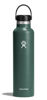 Picture of Hydro Flask Standard Flex Cap Fir 24 Oz