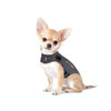 Picture of ThunderShirt for Dogs, XX Small, Heather Gray Classic - Dog Anxiety Vest