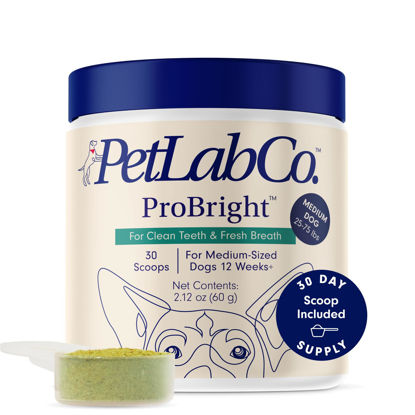 Picture of PetLab Co. ProBright Dental Powder - Dog Teeth Cleaning Made Easy - Plaque & Bad Breath - Formulated for Medium Size Dogs