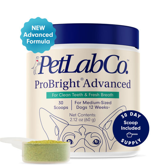 Picture of PetLab Co. ProBright Advanced Dental Powder - Dog Breath Freshener - Teeth Cleaning Made Easy - Targets Tartar & Bad Breath - Formulated for Medium Size Dogs