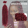 Picture of Human Braiding Hair 100g 22 Inch Deep Wave Bulk Human Hair for Braiding No Weft 10A Brazilian Virgin Curly Human Hair Extensions for Boho Braids Wet and Wavy 99J Red Burgundy Braiding Hair