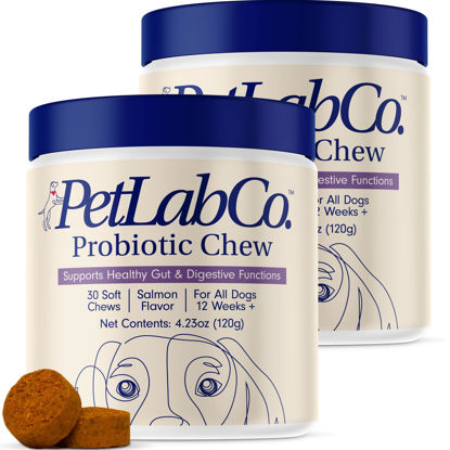 Picture of PetLab Co. Probiotics for Dogs, Support Gut Health, Diarrhea, Digestive Health & Seasonal Allergies - Salmon Flavor - 30 Soft Chews