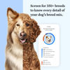 Picture of Wisdom Panel Essential Dog DNA Kit: Most Accurate Test for 365+ Breeds, 30 Genetic Health Conditions, 50+ Traits, Relatives, Ancestry - 2 Pack