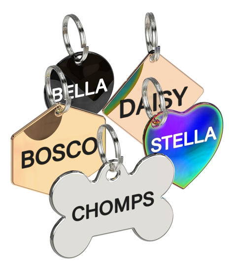 Picture of Dr. Fremont's Stainless Steel Custom Pet ID Personalized Engraved Identification Cat and Dog Tags with Custom Text, Many Shapes Including Bone, Heart, Circle (Rainbow Stainless Steel, Large Circle)