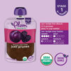 Picture of Plum Organics Stage 1 Organic Baby Food Just Prunes 3.5 Ounce Pouch, (Pack of 4) Packaging May Vary