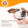 Picture of Arm & Hammer Ultra Fresh Whitening and Brightening Dog Shampoo | Baking Soda Neutralizes Bad Odors | Pet Shampoo in Calming Lavender and Vanilla Scent, 16 Fl Oz