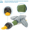 Picture of Best Pet Supplies Interactive Mallard Mates Dog Toy with Crinkle and Squeaky Enrichment for Small and Medium Breed Puppies or Dogs, Cute and Plush - Mallard Duck Wing (Gray), Small