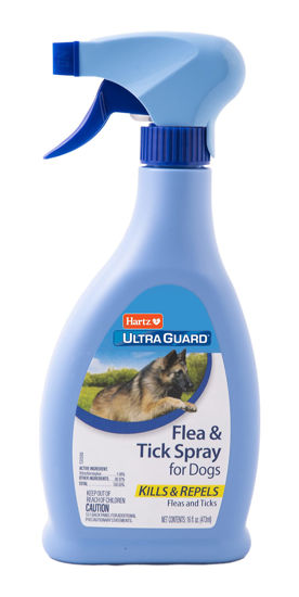 Picture of Hartz UltraGuard Flea And Tick Dog Spray, Kills And Repels Fleas And Ticks, 16 Ounce