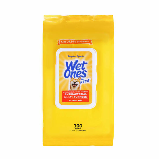 Picture of Wet Ones for Pets Multi-Purpose Dog Wipes with Aloe Vera Dog Wipes for All Dogs in Tropical Splash Wipes for Dog Paws & All Over Use (Pack of 1,100 Count Total)