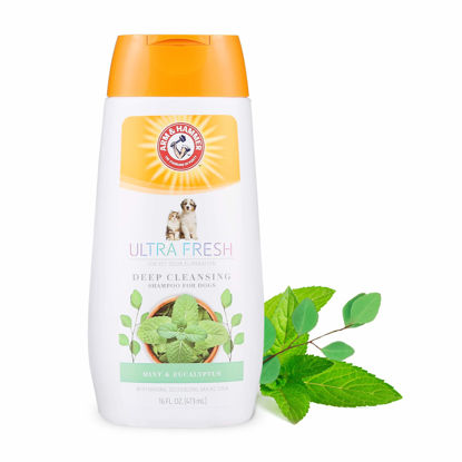 Picture of Arm & Hammer Ultra Fresh Shampoos, Conditioners, and Sprays for Dogs | Arm & Hammer Baking Soda Neutralizes Bad Odors for an Advanced Clean Deep Cleansing Shampoo