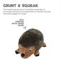 Picture of Outward Hound, Hedgehogz Plush Dog Toy, Medium