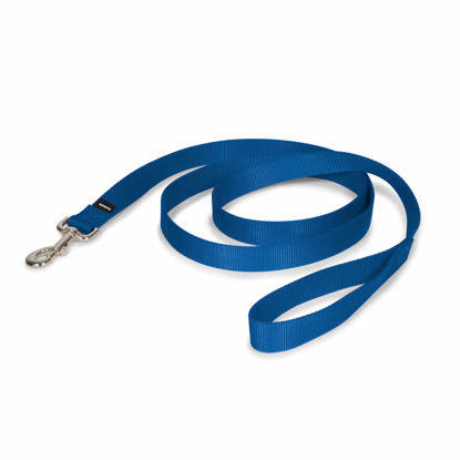 Picture of PetSafe Nylon Dog Leash - Strong, Durable, Traditional Style Leash with Easy to Use Bolt Snap - 1 in. x 6 ft., Royal Blue