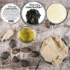 Picture of The Blissful Dog Portuguese Water Dog Nose Butter - Dog Nose Butter, 1 Ounce