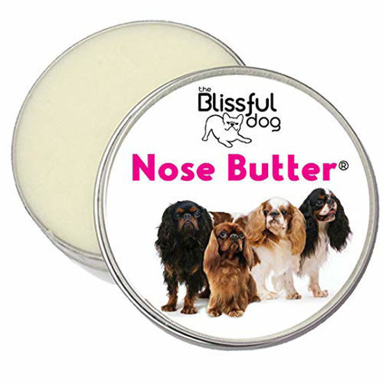 Picture of The Blissful Dog English Toy Spaniel Nose Butter, 2-Ounce