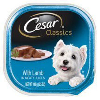 Picture of pack of 1 Individual Trays of CESAR Canine Cuisine Wet Dog Food with Lamb, 3.5 oz. ea