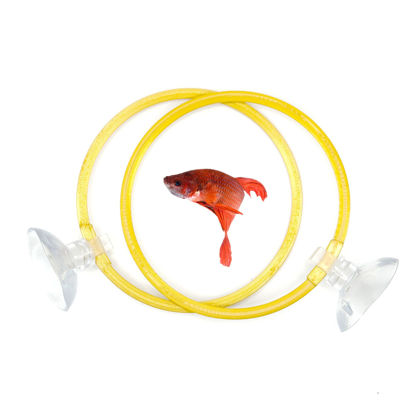 Picture of Betta Fish Olympic Ring For Betta Fish Trainning 2 Pack | Betta Excercise Loop Betta Loop For Aquarium Decor | CTWPets™ (Gold)