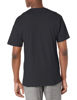 Picture of Champion mens Classic Jersey Tee Shirt, Black, Medium US