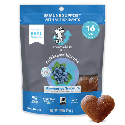 Picture of Shameless Pets Soft-Baked Dog Treats, Blueberried Treasure - Natural & Healthy Dog Chews with Mint for Immune Support - Dog Biscuits Baked & Made in USA, Free from Grain, Corn & Soy - 1-Pack