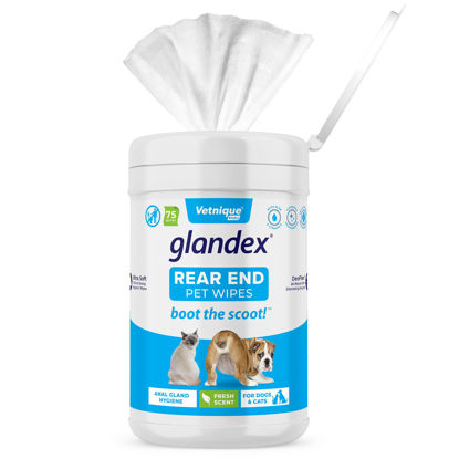 Picture of Vetnique Labs Glandex Dog Wipes for Pets Cleansing & Deodorizing Anal Gland Hygienic Dog & Cat Wipes with Vitamin E, Skin Conditioners and Aloe (75ct)