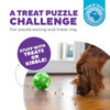 Picture of Outward Hound Mazee Puzzle Ball Interactive Treat Dispensing Dog Toy, Green