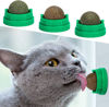 Picture of SINROBO 3 Pack Catnip Balls, Catnip Ball for Cats Wall, Edible Kitty Toys for Cats Lick, Safe Healthy Kitten Chew Toys, Teeth Cleaning Dental Cat Toys, Cat Wall Treats