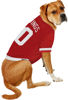 Picture of Pets First NHL Detroit Red Wings Jersey for Dogs & Cats, X-Small. - Let Your Pet Be A Real NHL Fan!