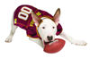 Picture of Pets First NCAA College Arizona State University Mesh Jersey for DOGS & CATS, Large. Licensed Big Dog Jersey with your Favorite Football/Basketball College Team