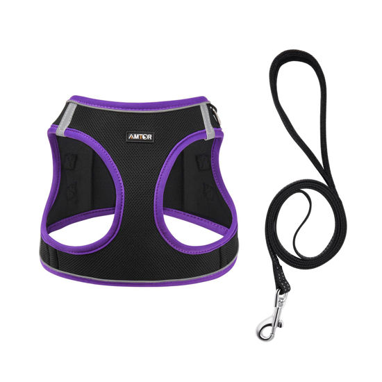 Picture of AMTOR Dog Harness with Leash Set,No Pull Adjustable Reflective Puppy Harness with Padded Vest for Extra-Small/Small Medium Large Dogs and Cats(Black/Purple)