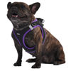 Picture of AMTOR Dog Harness with Leash Set,No Pull Adjustable Reflective Puppy Harness with Padded Vest for Extra-Small/Small Medium Large Dogs and Cats(Black/Purple)