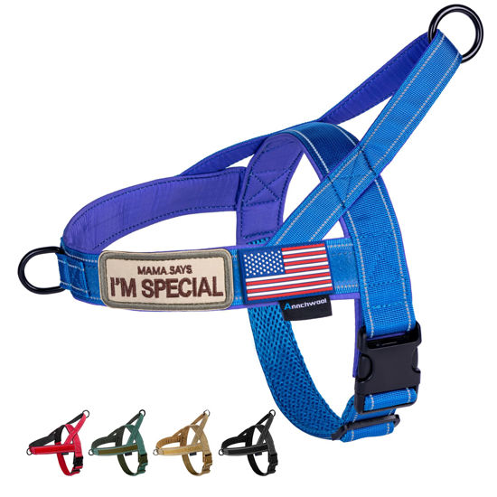 Picture of Annchwool No Pull Dog Harness with Soft Padded Handle,Reflective Strip Escape Proof and Quick Fit to Adjust Dog Harness,Easy for Training Walking for Small & Medium and Large Dog(Blue,M)