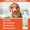 Picture of USDA Organic Dog Shampoo, Conditioner & Detangler - Best Shampoo for Goldendoodles, Poodles & Doodles - Pet Shampoo For Matted Hair - Sensitive Skin Shampoo for Puppies - Made In The USA, 16OZ (Mango)