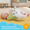 Picture of Fisher-Price Baby Plush Toy Calming Vibes Puppy Soother Portable Sound Machine for Newborns