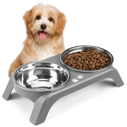 Picture of Elevated Cat Bowls - Anti-Vomiting Raised Cat Bowl Stand with 2 Thick Stainless Steel Cat Bowls Non-Slip for Small Medium Indoor Cats & Puppies, Dishwasher Safe Grey