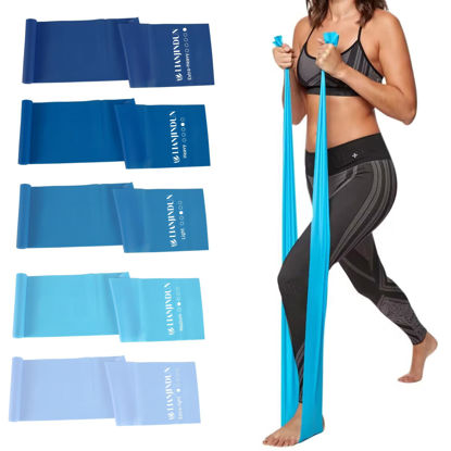 Picture of 5 Pcs Professional Resistance Bands. Latex-Free, Work Out Bands, Stretch Bands for Working Out Women or Men, Exercise Bands Set for Physical Therapy (Gradient Blue Set (10-40lbs))