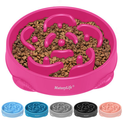 Picture of MateeyLife Large Slow Feeder Dog Bowls, Anti-Choking Puzzle Dog Food Bowls, Non Slip Interactive Dog Feeding Bowls Slow Down Eating, Bloat Stop Maze Dog Dishes Dog Feeder for Large Breeds Purple