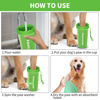 Picture of dog paw cleaner big green