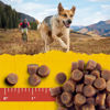 Picture of Zuke's Mini Naturals Training Dog Treats Peanut Butter and Oats Recipe - 16 Oz Bag