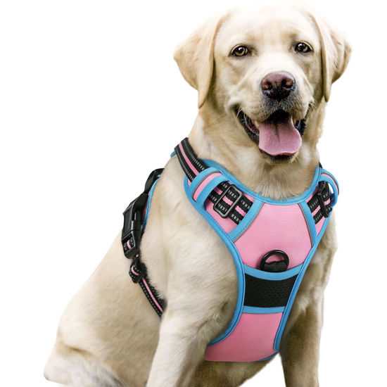 Picture of rabbitgoo Dog Harness, No-Pull Pet Harness with 2 Leash Clips, Adjustable Soft Padded Dog Vest, Reflective No-Choke Pet Oxford Vest with Easy Control Handle for Large Dogs, Pink & Blue, L