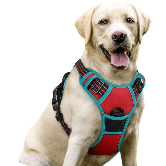 Picture of rabbitgoo Dog Harness, No-Pull Pet Harness with 2 Leash Clips, Adjustable Soft Padded Dog Vest, Reflective No-Choke Pet Oxford Vest with Easy Control Handle for Large Dogs, Red & Teal, L