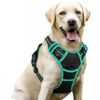 Picture of rabbitgoo Dog Harness, No-Pull Pet Harness with 2 Leash Clips, Adjustable Soft Padded Dog Vest, Reflective No-Choke Pet Oxford Vest with Easy Control Handle for Large Dogs, Black & Turquoise, L