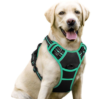 Picture of rabbitgoo Dog Harness, No-Pull Pet Harness with 2 Leash Clips, Adjustable Soft Padded Dog Vest, Reflective No-Choke Pet Oxford Vest with Easy Control Handle for Large Dogs, Black & Turquoise, L