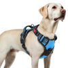 Picture of rabbitgoo Dog Harness for Large, No Pull Pet Harness with 3 Buckles, Adjustable Soft Padded Dog Vest with Instant Control Handle, Easy Walking Reflective Pet Vest for Large Dogs, Sky Blue, L