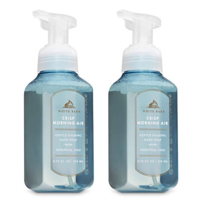 Picture of Bath and Body Works 2 Pack Crisp Morning Air Gentle Foaming Hand Soap. 8 Oz